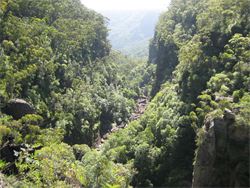 Carrington Falls