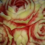 watermellon rose